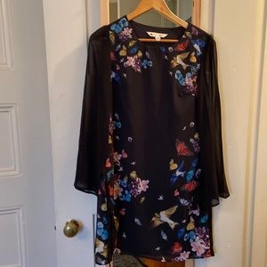 Birds and butterflies
